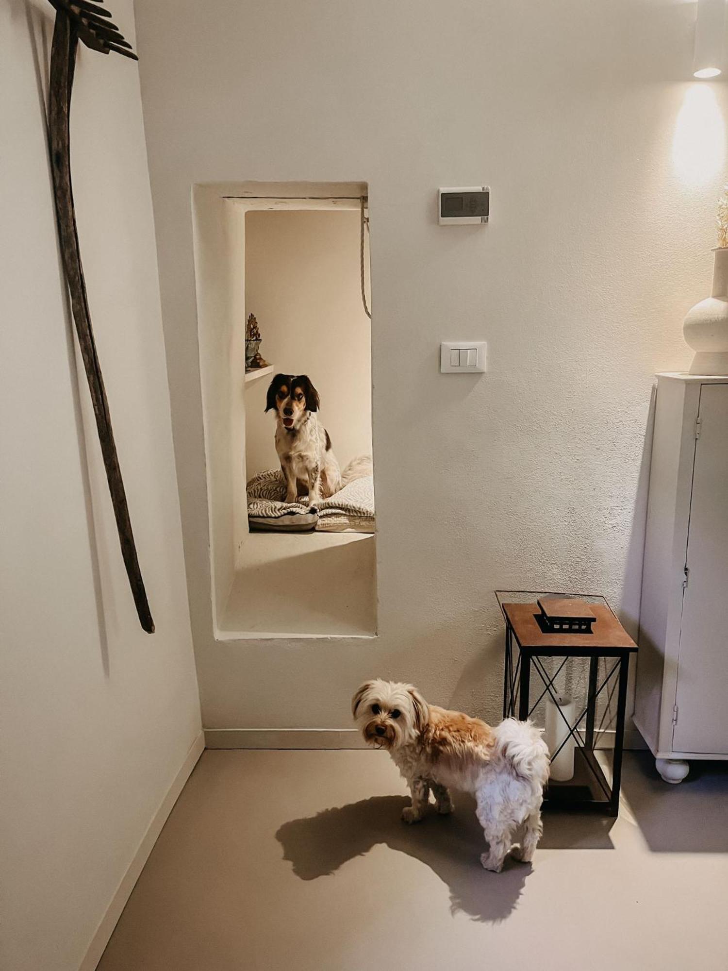 M.Sommer House Pistoia Dış mekan fotoğraf
